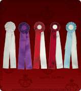 Dikiri Trikiri Ribbons - 310